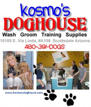 Featured image for Kosmo's Dog House