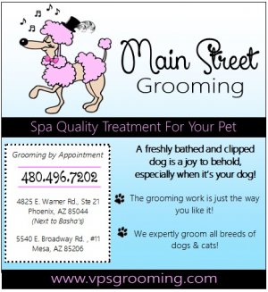 Featured image for Main Street Grooming