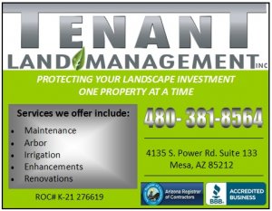 Featured image for Tenant Mangement