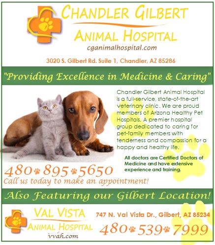 Logo for Chandler Gilbert Animal Hospital & Val Vista Animal Hospital